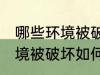 哪些环境被破坏怎样保护环境 哪些环境被破坏如何保护环境