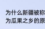 为什么新疆被称为瓜果之乡 新疆被称为瓜果之乡的原因