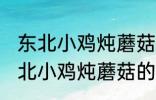 东北小鸡炖蘑菇的蘑菇是什么蘑菇 东北小鸡炖蘑菇的蘑菇是哪种蘑菇