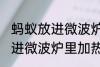 蚂蚁放进微波炉里加热会死吗 蚂蚁放进微波炉里加热会不会死