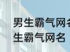 男生霸气网名2022最新版的 超酷男生霸气网名