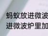 蚂蚁放进微波炉里加热会死吗 蚂蚁放进微波炉里加热会不会死