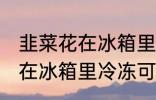 韭菜花在冰箱里冷冻能放多久 韭菜花在冰箱里冷冻可以放多长时间