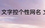 文字控个性网名 文字控个性网名介绍