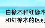 白橡木和红橡木的区别是什么 白橡木和红橡木的区别介绍