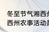 冬至节气湘西州农事活动 冬至节气湘西州农事活动是什么