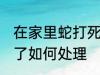 在家里蛇打死了怎么办 在家里蛇打死了如何处理