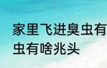 家里飞进臭虫有什么兆头 家里飞进臭虫有啥兆头