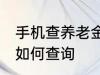 手机查养老金怎么查询 手机查养老金如何查询