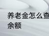 养老金怎么查询余额 养老金如何查询余额