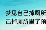 梦见自己掉厕所里了怎么回事 梦见自己掉厕所里了预兆什么