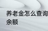 养老金怎么查询余额 养老金如何查询余额