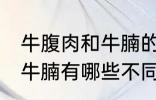 牛腹肉和牛腩的区别是什么 牛腹肉和牛腩有哪些不同