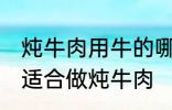 炖牛肉用牛的哪个部分 哪个位置的肉适合做炖牛肉