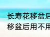 长寿花移盆后需要立刻浇水吗 长寿花移盆后用不用马上浇水