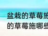 盆栽的草莓施什么肥好不要化肥 盆栽的草莓施哪些肥好不要化肥