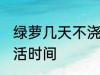 绿萝几天不浇水会死 不浇水的绿萝成活时间