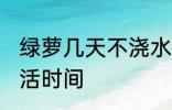 绿萝几天不浇水会死 不浇水的绿萝成活时间