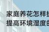 家庭养花怎样提高环境湿度 家庭养花提高环境湿度的技巧